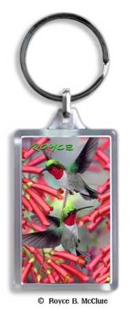 Schlüsselanhänger Kolibris